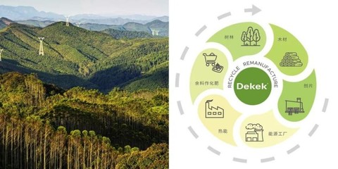 刨花板漸成國內(nèi)人造板主流趨勢,領(lǐng)軍品牌德科康賦能行業(yè)新發(fā)展