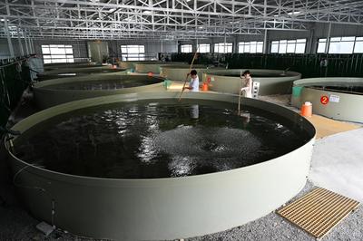 聽兩山回響,看碧水石臺(tái)